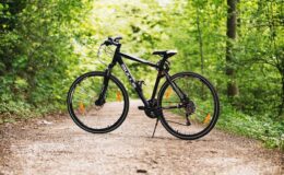 bicycle, nature, bike, forest, path, sports, outdoors, dirt road, mountain bike, wheels, bicycle wheels, parked, park, woods