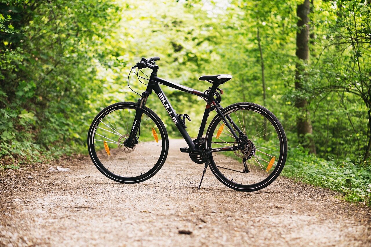 bicycle, nature, bike, forest, path, sports, outdoors, dirt road, mountain bike, wheels, bicycle wheels, parked, park, woods